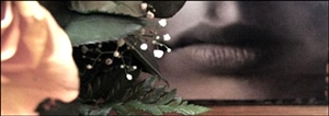Zoya Anderson - Belarussian Photoartist 