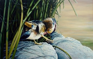 Randy Nagle - Corsair