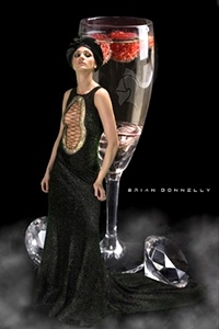 Brian Donnelly - California PhotoArtist