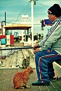 Russian Born Photo Artist Victor Bezrukov
