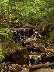 Gino Abbruzzino - North Carolina Photo Artist