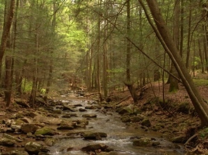 Gino Abbruzzino - North Carolina Photo Artist