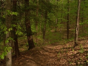 Gino Abbruzzino - North Carolina Photo Artist