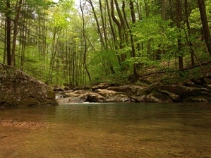 Gino Abbruzzino - North Carolina Photo Artist