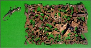This was my shot at cleaning up the image.