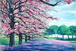 Forest Rhapsody - Artist Clayton de Freitas