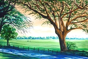 Forest Rhapsody - Artist Clayton de Freitas