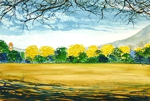 Forest Rhapsody - Artist Clayton de Freitas