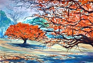 Forest Rhapsody - Artist Clayton de Freitas