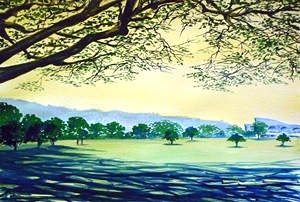 Forest Rhapsody - Artist Clayton de Freitas
