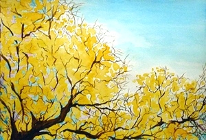 Forest Rhapsody - Artist Clayton de Freitas