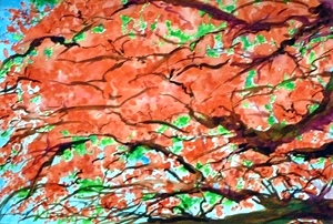 Forest Rhapsody - Artist Clayton de Freitas